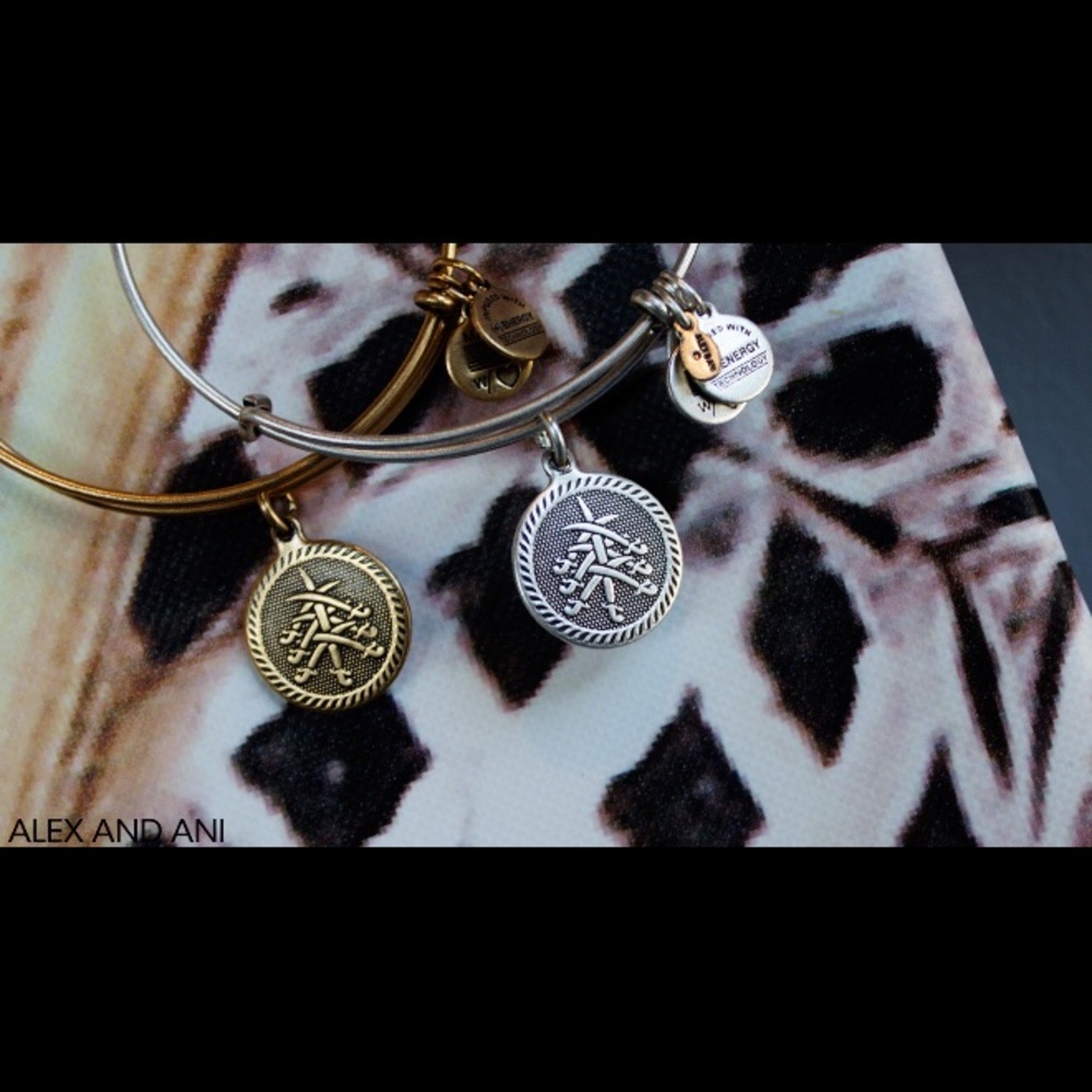 Alex And Ani 7 swords bracelet